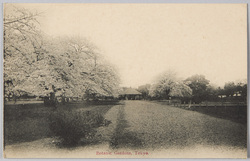 Botanic Gardens,Tokyo(小石川植物園) / Botanic Gardens, Tokyo (Koishikawa Botanical Garden) image