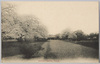 Botanic　Gardens,Tokyo(小石川植物園)/Botanic Gardens, Tokyo (Koishikawa Botanical Garden) image