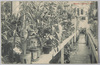 Botanic　Gardens　　Tokyo./Botanic Gardens, Tokyo image