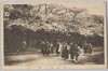飛鳥山ノ桜/Cherry Blossoms on the Asukayama Hill image