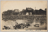 上野不忍池/Ueno Shinobazu Pond image