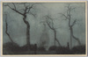 靄のかかった林/Hazy Woods image
