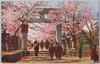 東照宮鳥居の桜/Cherry Blossoms at the Torii Gate of the Ueno Toshogu Shrine image