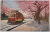英国大使館前の桜/Cherry Blossoms in Front of the British Embassy  image