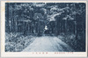 井の頭恩賜公園　御殿山入口/Inokashira Park: Entry to Gotenyama image
