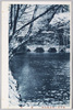 井の頭恩賜公園　池畔/Inokashira Park: Pondside image