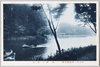 井の頭恩賜公園　池畔の涼味/Inokashira Park: Cool Atmosphere at the Pondside image