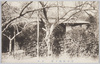 蒲田梅園(其四)/Kamata Plum Garden (4) image