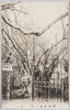蒲田梅園(其一)/Kamata Plum Garden (1) image