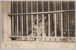 上野動物園 / Ueno Zoological Gardens image