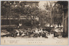 上野動物園　みづどりの群れ/Ueno Zoological Gardens: A Flock of Waterfowls image