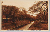 武洲小金井の桜/Cherry Blossoms in Koganei, Bushu image