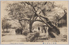武州小金井の桜/Cherry Blossoms in Koganei, Bushu image