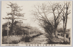 小金井橋 / Koganeibashi Bridge image