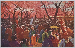 飛鳥山の桜 / Cherry Blossoms on the Asukayama Hill image