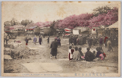 荒川堤の桜 / Cherry Blossoms on the Arakawa Embankment image