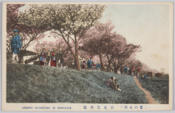 荒川堤 / Arakawa Embankment image