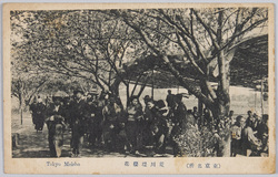 荒川堤 / Arakawa Embankment image