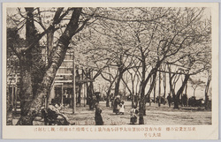 芝　愛宕の桜 / Cherry Blossoms on the Atagoyama Hill, Shiba image