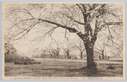 小石川植物園 / Koishikawa Botanical Garden image
