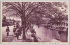 江戸川の桜/Cherry Blossoms along the Edogawa River image