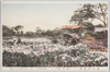 堀切花昌蒲/Irises in Horikiri image