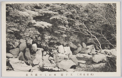東京名所 王子園 名ぬしの瀧 / Famous Views of Tokyo, Nanushi no Taki Waterfall, Oji image