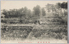 蒲田菖蒲園/Kamata Iris Garden  image
