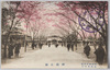 神殿正面(靖国神社)/Front View of the Sanctuary (Yasukuni Shrine) image