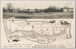 理科大学附属植物園 案内図 / Gide Map of Botanical Garden Belonging to the Imperial University of Tokyo image