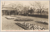 花壇/Flower Bed image