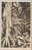 小石川植物園温室内部/Interior of the Glasshouse at Koishikawa Botanical Garden image