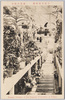 小石川植物園　温室内蘭室/Koishikawa Botanical Garden Belonging to the Imperial University of Tokyo: Orchid Room in the Glasshouse image