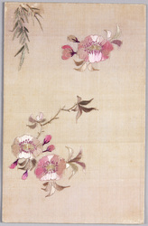 桜花刺繍 / Embroidery of Cherry Blossoms image