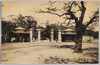 行楽の人で賑う上野動物園/Ueno Zoological Gardens Thronging with Tourists image