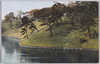 お濠に群れる鴨/A Flock of Ducks in a Moat image