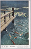 明治神宮御苑　池の鯉/Meijijingu Inner Garden: Carp in the Pond image