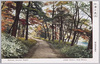 明治神宮御苑　紅葉の苑内/Meijijingu Inner Garden: Garden in the Season of Autumn Leaves image