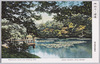 明治神宮御苑　御釣台と睡蓮/Meijijingu Inner Garden: Fishing Deck and Water Lilies image