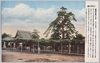 善養寺星降りの松/Hoshifuri no Matsu Pine Tree at the Zenyoji Temple image
