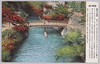 瀧野川の渓流　(瀧野川区)/Stream of the Takinogawa River (Takinogawaku) image
