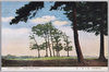 代々木の原(新大東京名所)/Yoyoginohara Field (New Famous Views of Great Tokyo) image