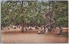明治神宮外苑　児童遊園/Meijijingu Gaien: Children's Playground image