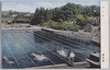 プール　豊島園/Swimming Pool, Amusement Park Toshimaen image