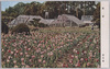 温室　豊島園/Greenhouses, Toshimaen Amusement Park image