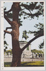 楠公銅像/Bronze Statue of Lord Kusunoki image