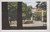 明治神宮/Meijijingu Shrine  image