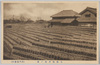 大森海苔乾ノ景/Scene of Drying Nori Seaweed at Omori image