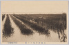 大森海苔取リノ景/Scene of Gathering Nori Seaweed at Omori image