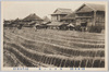 (大森名所)海苔乾ノ景/[Famous Views of Omori] Scene of Drying Nori Seaweed at Omori image